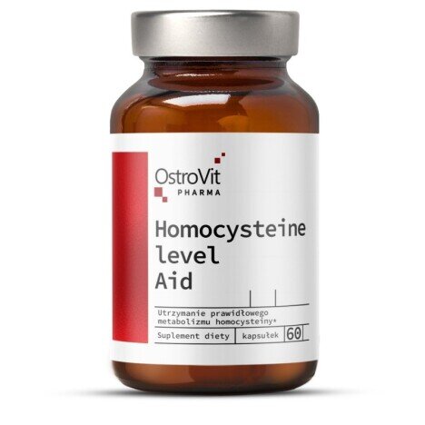 Pharma Homocysteine Level Aid 60 Capsule, OstroVit